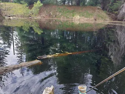 A water sample is collected from a local waterway.